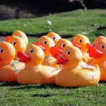 Duck puns: Meaning, Examples, Synonyms, and How to Use It