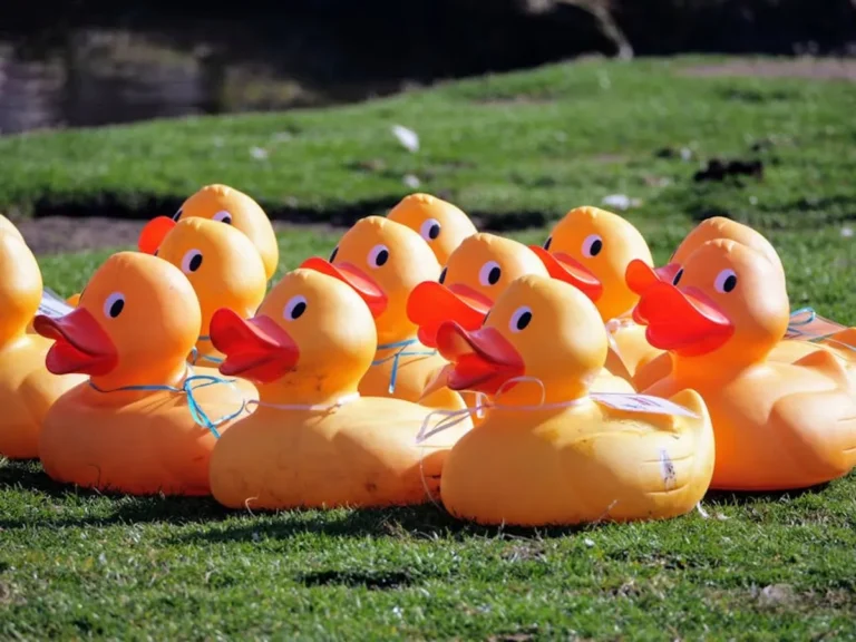 Duck puns: Meaning, Examples, Synonyms, and How to Use It